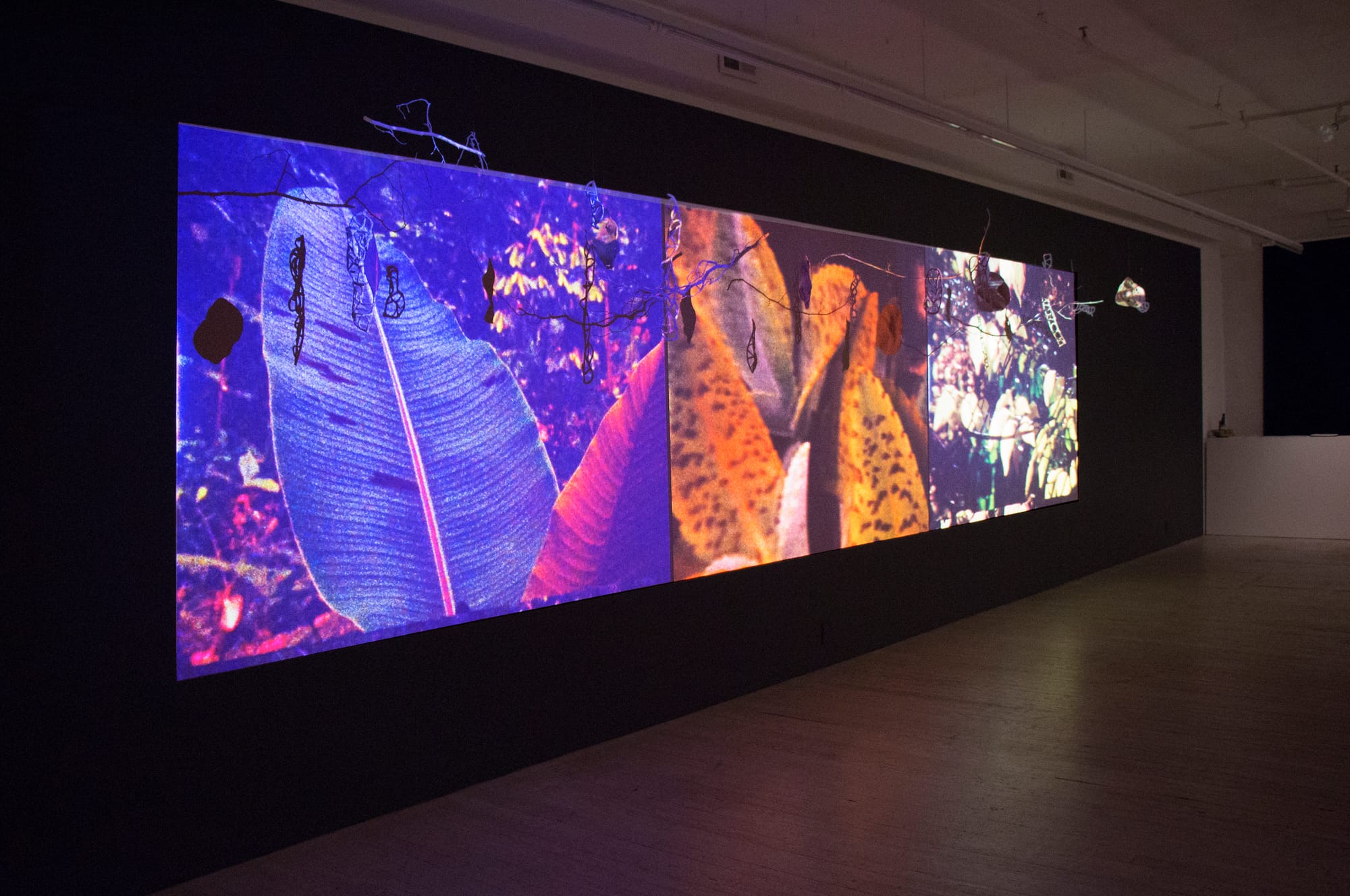 A triptych of images on a gallery wall, each one depicting leaves and flowers in bright primary colors.