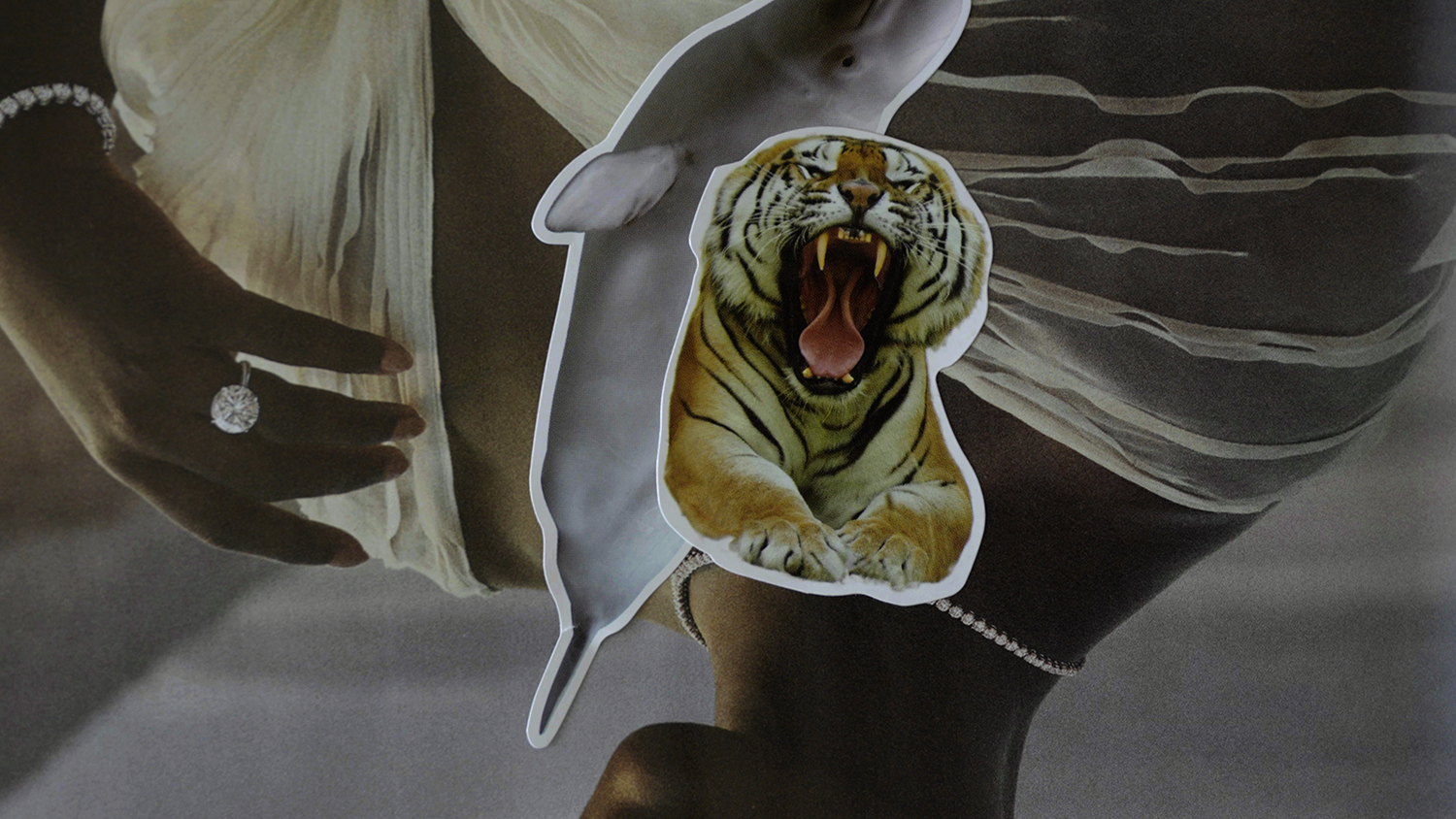 A collage featuring cut-out images of a dark-skinned hand wearing a diamond ring with diamond bracelet, a tiger and a whale.
