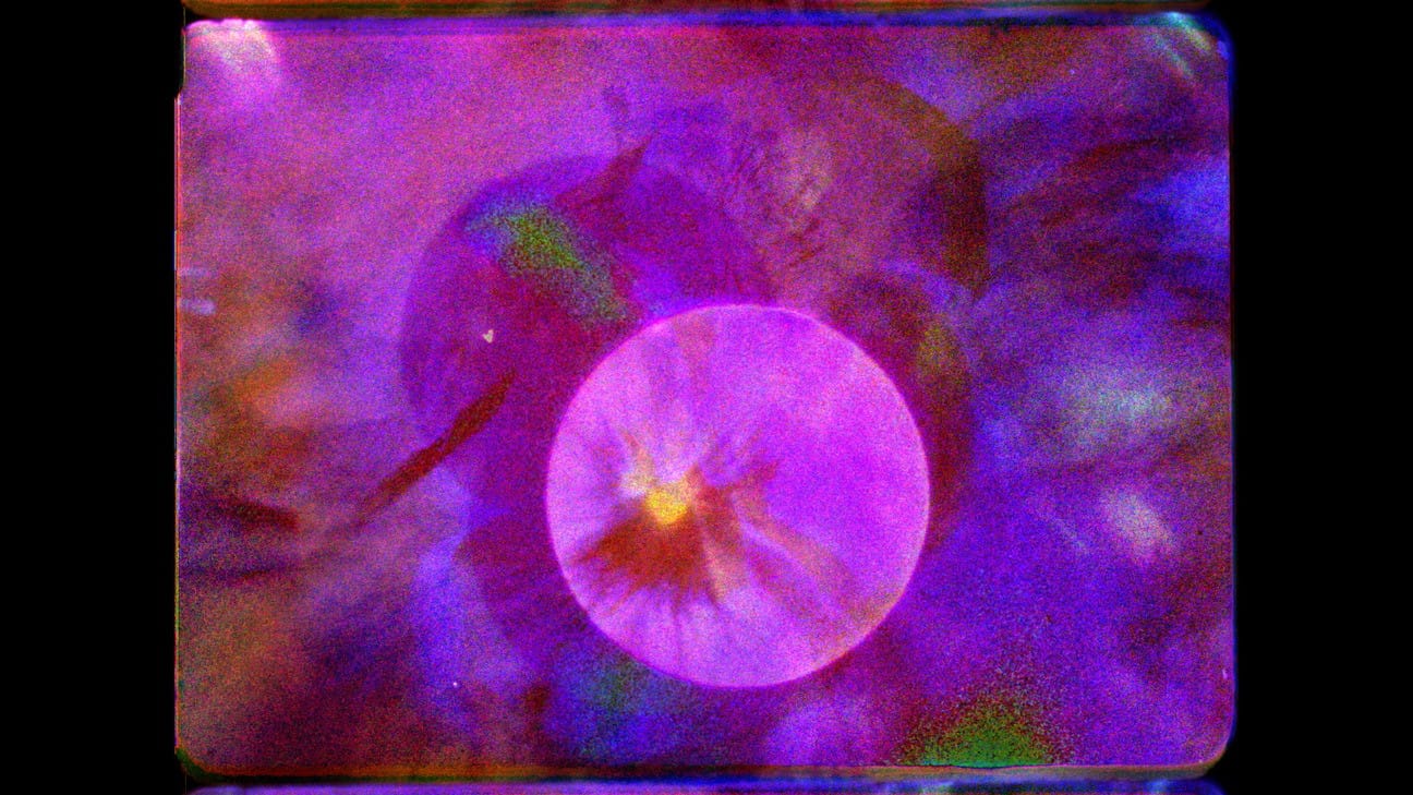A 16mm film frame depicting a purple flower superimposed over a full moon.