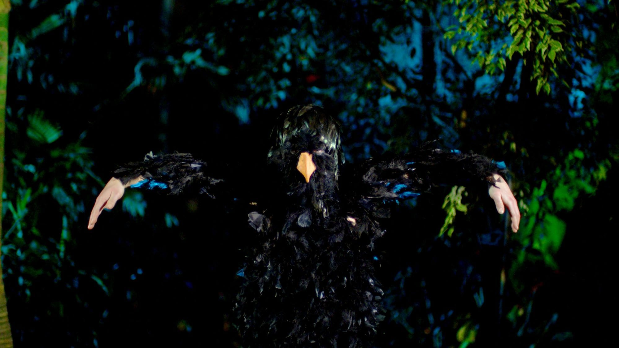A figure dressed in a bird costume with their arms raised, standing in a shadowy forest.