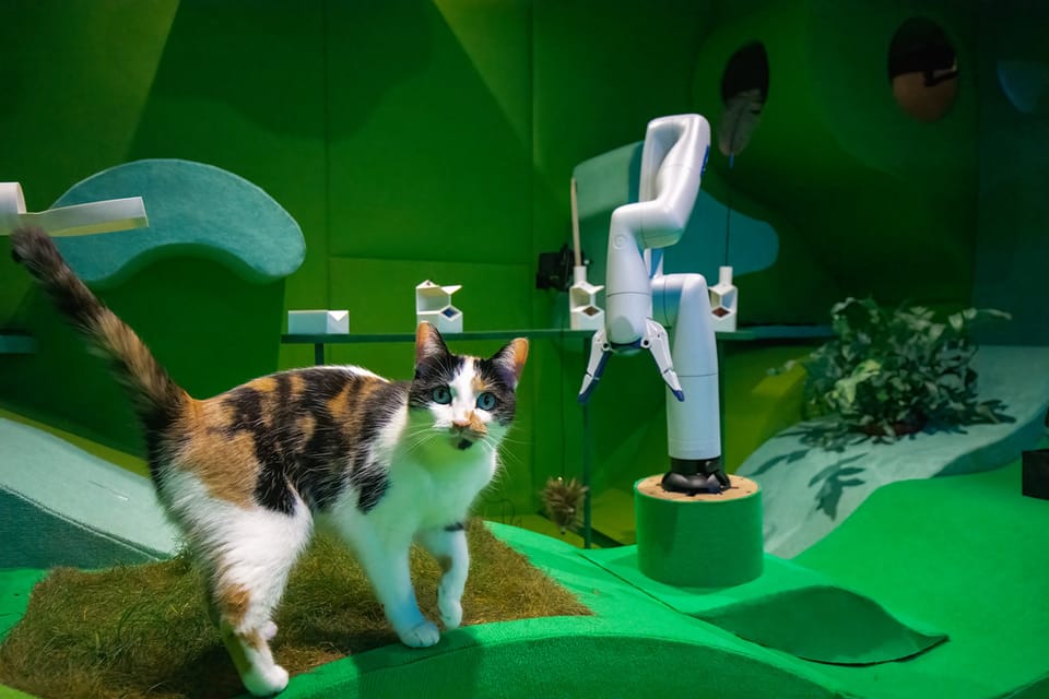 Embracing the machine: Somabotics, AI and media art preservation